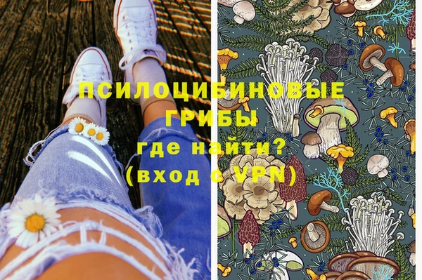 дурь Абаза