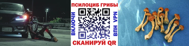 mega Нальчик Псилоцибиновые грибы прущие грибы где купить
